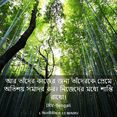 Picture 03 - 1 থিচলনীকীয়া 5:13 BENIRV - আর তাঁদের কাজের - Bible Verse Picture