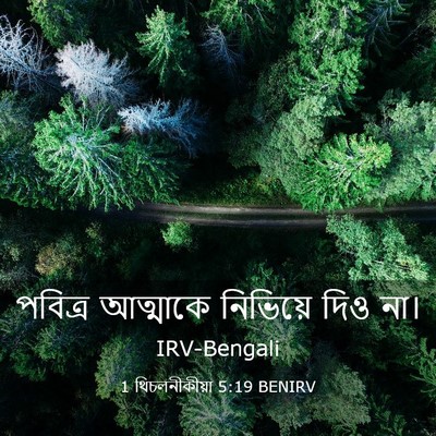 Picture 03 - 1 থিচলনীকীয়া 5:19 BENIRV - পবিত্র আত্মাকে - Bible Verse Picture