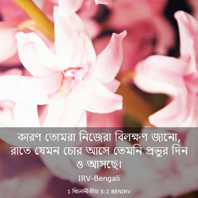 Picture 03 - 1 থিচলনীকীয়া 5:2 BENIRV - কারণ তোমরা নিজেরা - Bible Verse Picture