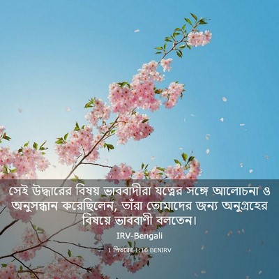 Picture 03 - 1 পিতরের 1:10 BENIRV - সেই উদ্ধারের - Bible Verse Picture