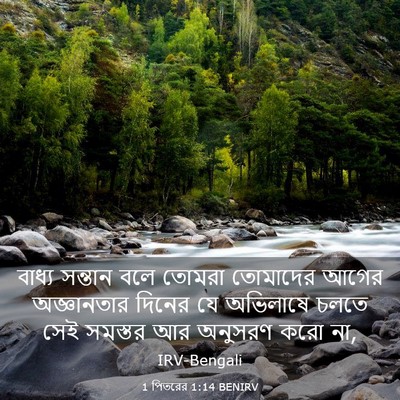 Picture 03 - 1 পিতরের 1:14 BENIRV - বাধ্য সন্তান বলে - Bible Verse Picture