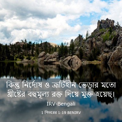 Picture 03 - 1 পিতরের 1:19 BENIRV - কিন্তু নির্দোষ ও - Bible Verse Picture