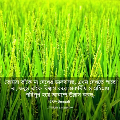 Picture 03 - 1 পিতরের 1:8 BENIRV - তোমরা তাঁকে না - Bible Verse Picture
