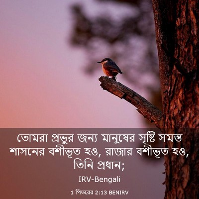 Picture 03 - 1 পিতরের 2:13 BENIRV - তোমরা প্রভুর জন্য - Bible Verse Picture