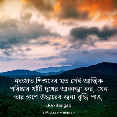 Picture 03 - 1 পিতরের 2:2 BENIRV - নবজাত শিশুদের মত - Bible Verse Picture
