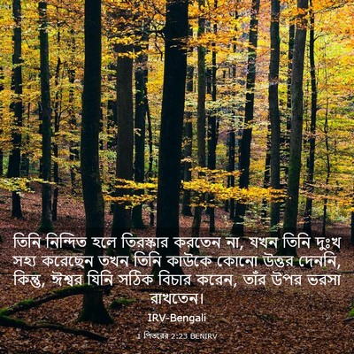 Picture 03 - 1 পিতরের 2:23 BENIRV - তিনি নিন্দিত হলে - Bible Verse Picture
