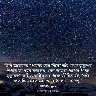 Picture 03 - 1 পিতরের 2:24 BENIRV - তিনি আমাদের - Bible Verse Picture