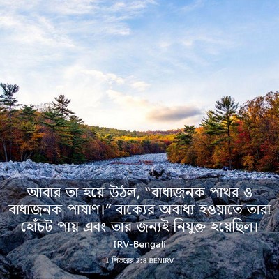 Picture 03 - 1 পিতরের 2:8 BENIRV - আবার তা হয়ে উঠল, - Bible Verse Picture