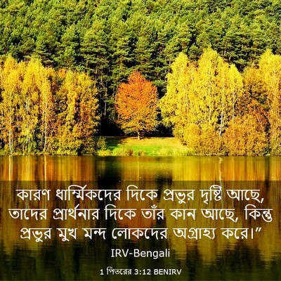 Picture 03 - 1 পিতরের 3:12 BENIRV - কারণ ধার্ম্মিকদের - Bible Verse Picture