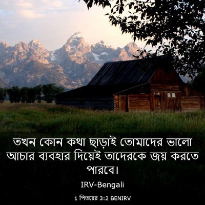 Picture 03 - 1 পিতরের 3:2 BENIRV - তখন কোন কথা ছাড়াই - Bible Verse Picture