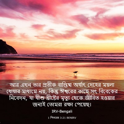 Picture 03 - 1 পিতরের 3:21 BENIRV - আর এখন তার প্রতীক - Bible Verse Picture
