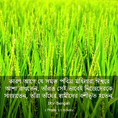 Picture 03 - 1 পিতরের 3:5 BENIRV - কারণ আগে যে সমস্ত - Bible Verse Picture