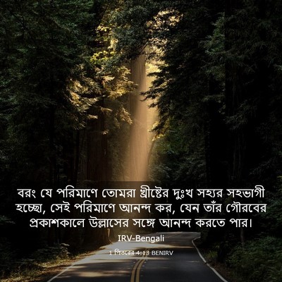 Picture 03 - 1 পিতরের 4:13 BENIRV - বরং যে পরিমাণে - Bible Verse Picture