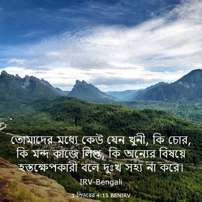 Picture 03 - 1 পিতরের 4:15 BENIRV - তোমাদের মধ্যে কেউ - Bible Verse Picture