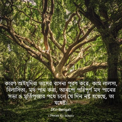 Picture 03 - 1 পিতরের 4:3 BENIRV - কারণ অইহূদিরা - Bible Verse Picture