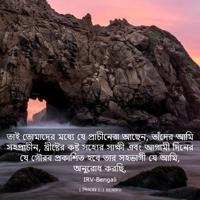 Picture 03 - 1 পিতরের 5:1 BENIRV - তাই তোমাদের মধ্যে - Bible Verse Picture