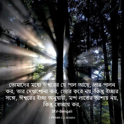 Picture 03 - 1 পিতরের 5:2 BENIRV - তোমাদের মধ্যে - Bible Verse Picture