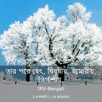 Picture 03 - 1 বংশাৱলি 1:14 BENIRV - তার পরে হেৎ, - Bible Verse Picture