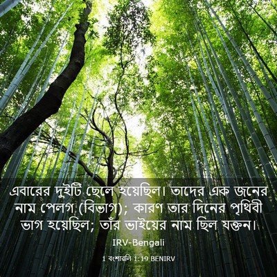 Picture 03 - 1 বংশাৱলি 1:19 BENIRV - এবারের দুইটি ছেলে - Bible Verse Picture