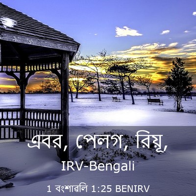 Picture 03 - 1 বংশাৱলি 1:25 BENIRV - এবর, পেলগ, - Bible Verse Picture