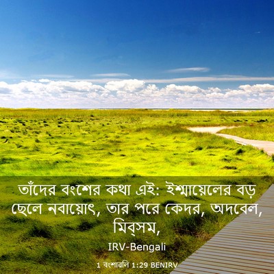 Picture 03 - 1 বংশাৱলি 1:29 BENIRV - তাঁদের বংশের কথা - Bible Verse Picture