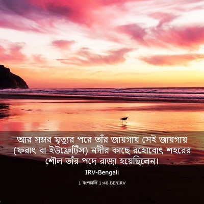 Picture 03 - 1 বংশাৱলি 1:48 BENIRV - আর সম্লর মৃত্যুর - Bible Verse Picture