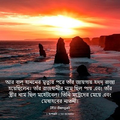 Picture 03 - 1 বংশাৱলি 1:50 BENIRV - আর বাল্‌ হাননের - Bible Verse Picture