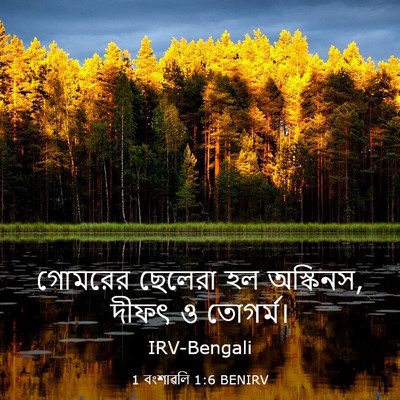 Picture 03 - 1 বংশাৱলি 1:6 BENIRV - গোমরের ছেলেরা হল - Bible Verse Picture