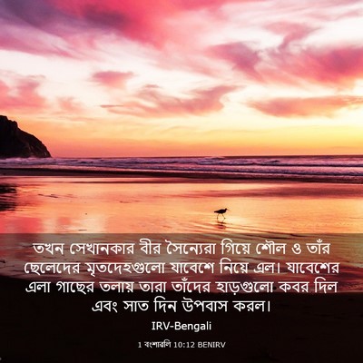 Picture 03 - 1 বংশাৱলি 10:12 BENIRV - তখন সেখানকার বীর - Bible Verse Picture