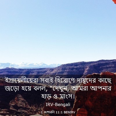 Picture 03 - 1 বংশাৱলি 11:1 BENIRV - ইস্রায়েলীয়েরা - Bible Verse Picture