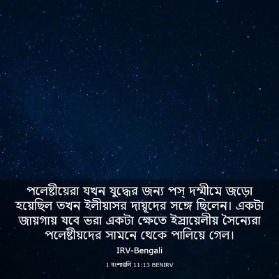 Picture 03 - 1 বংশাৱলি 11:13 BENIRV - পলেষ্টীয়েরা যখন - Bible Verse Picture