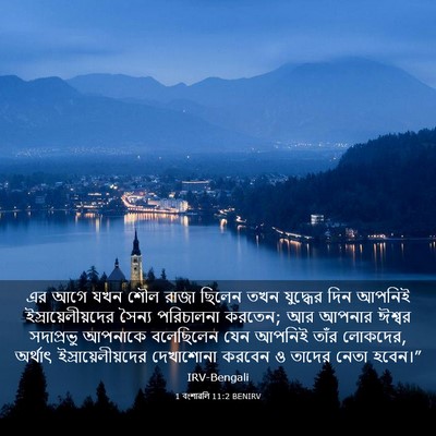 Picture 03 - 1 বংশাৱলি 11:2 BENIRV - এর আগে যখন শৌল রাজা - Bible Verse Picture