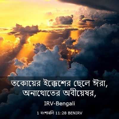 Picture 03 - 1 বংশাৱলি 11:28 BENIRV - তকোয়ের ইক্কেশের - Bible Verse Picture
