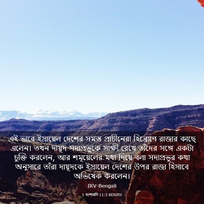 Picture 03 - 1 বংশাৱলি 11:3 BENIRV - এই ভাবে ইস্রায়েল - Bible Verse Picture