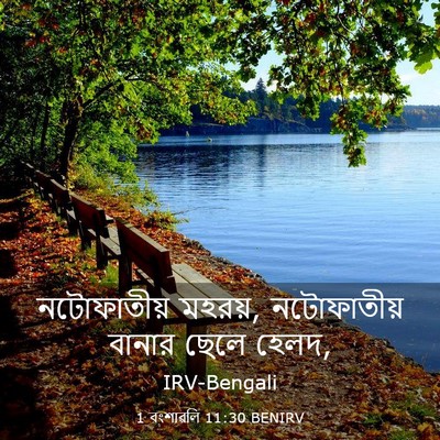 Picture 03 - 1 বংশাৱলি 11:30 BENIRV - নটোফাতীয় মহরয়, - Bible Verse Picture