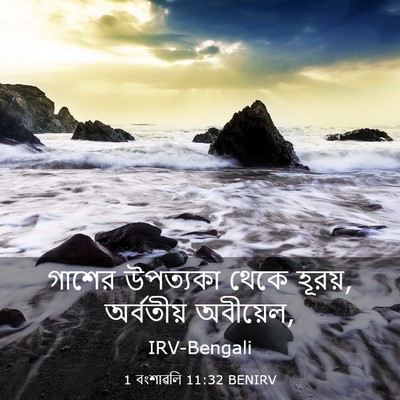 Picture 03 - 1 বংশাৱলি 11:32 BENIRV - গাশের উপত্যকা - Bible Verse Picture
