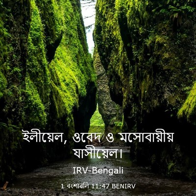 Picture 03 - 1 বংশাৱলি 11:47 BENIRV - ইলীয়েল, ওবেদ ও - Bible Verse Picture