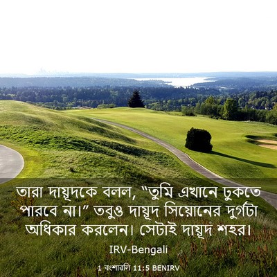 Picture 03 - 1 বংশাৱলি 11:5 BENIRV - তারা দায়ূদকে বলল, - Bible Verse Picture