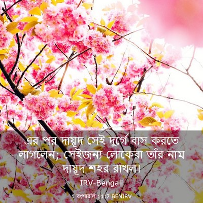 Picture 03 - 1 বংশাৱলি 11:7 BENIRV - এর পর দায়ূদ সেই - Bible Verse Picture