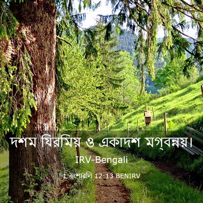Picture 03 - 1 বংশাৱলি 12:13 BENIRV - দশম যিরমিয় ও - Bible Verse Picture