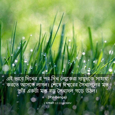 Picture 03 - 1 বংশাৱলি 12:22 BENIRV - এই ভাবে দিনের র পর - Bible Verse Picture