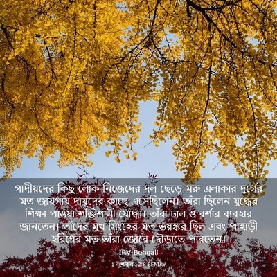Picture 03 - 1 বংশাৱলি 12:8 BENIRV - গাদীয়দের কিছু - Bible Verse Picture
