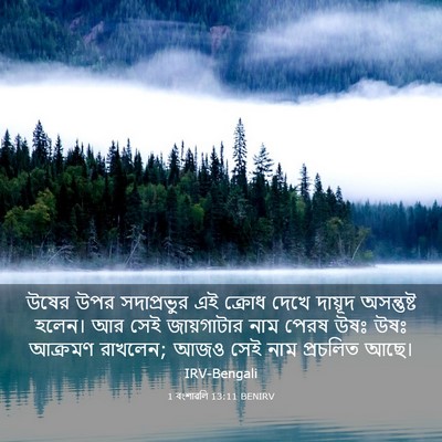 Picture 03 - 1 বংশাৱলি 13:11 BENIRV - উষের উপর - Bible Verse Picture