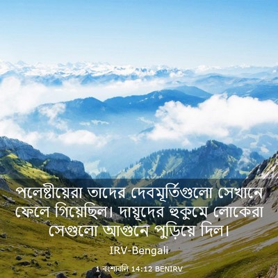 Picture 03 - 1 বংশাৱলি 14:12 BENIRV - পলেষ্টীয়েরা - Bible Verse Picture