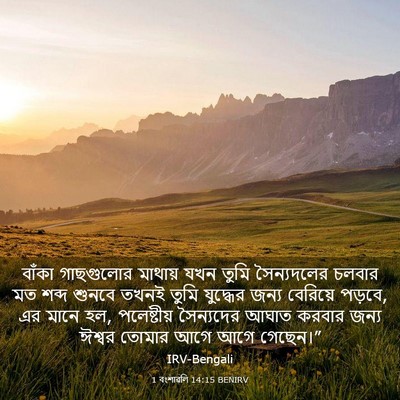 Picture 03 - 1 বংশাৱলি 14:15 BENIRV - বাঁকা গাছগুলোর - Bible Verse Picture
