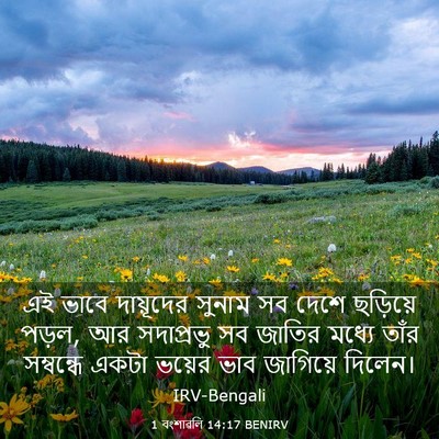 Picture 03 - 1 বংশাৱলি 14:17 BENIRV - এই ভাবে দায়ূদের - Bible Verse Picture