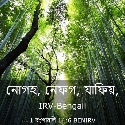 Picture 03 - 1 বংশাৱলি 14:6 BENIRV - নোগহ, নেফগ, - Bible Verse Picture