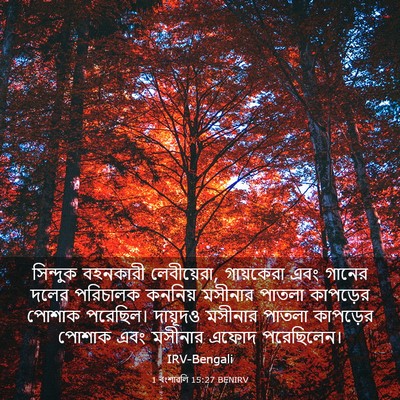 Picture 03 - 1 বংশাৱলি 15:27 BENIRV - সিন্দুক বহনকারী - Bible Verse Picture