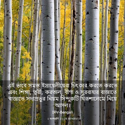 Picture 03 - 1 বংশাৱলি 15:28 BENIRV - এই ভাবে সমস্ত - Bible Verse Picture