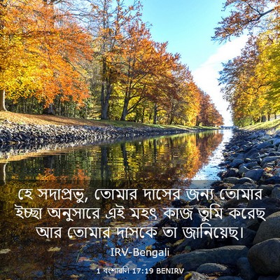 Picture 03 - 1 বংশাৱলি 17:19 BENIRV - হে সদাপ্রভু, তোমার - Bible Verse Picture